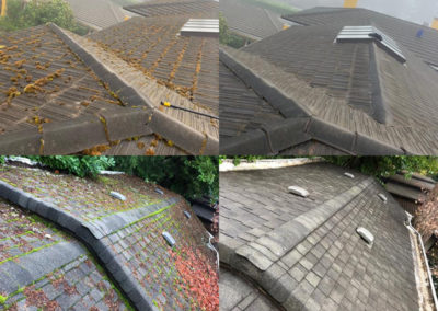 before and after view of roof cleaning